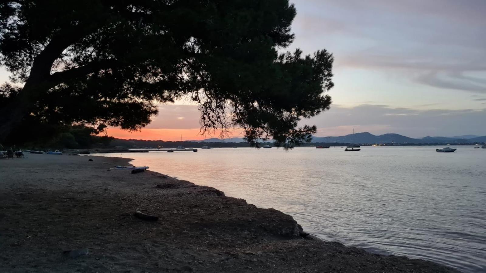 L'Instant Mer - Bord De Mer - Studio Avec Grand Jardin A La Capte Hyeres Bagian luar foto